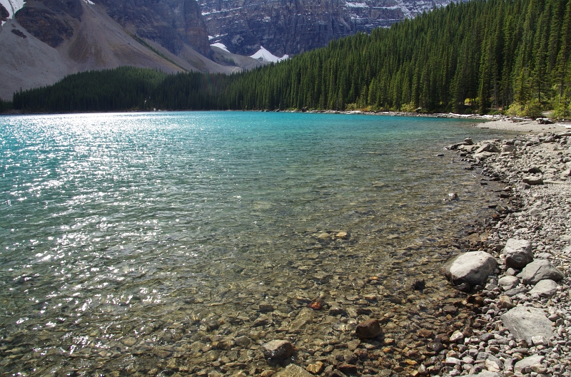 Banff NP 'Moraine  Lake Lakeshore' 16_09_2011 (61).JPG